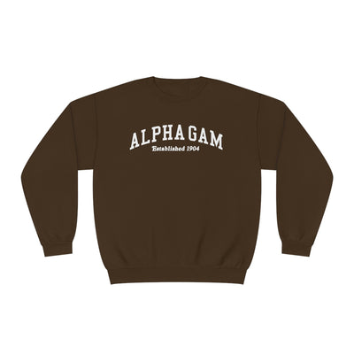 Alpha Gamma Delta Sorority Varsity College Alpha Gam Crewneck Sweatshirt