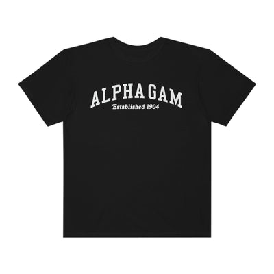 Alpha Gamma Delta Varsity College Sorority Comfy T-Shirt