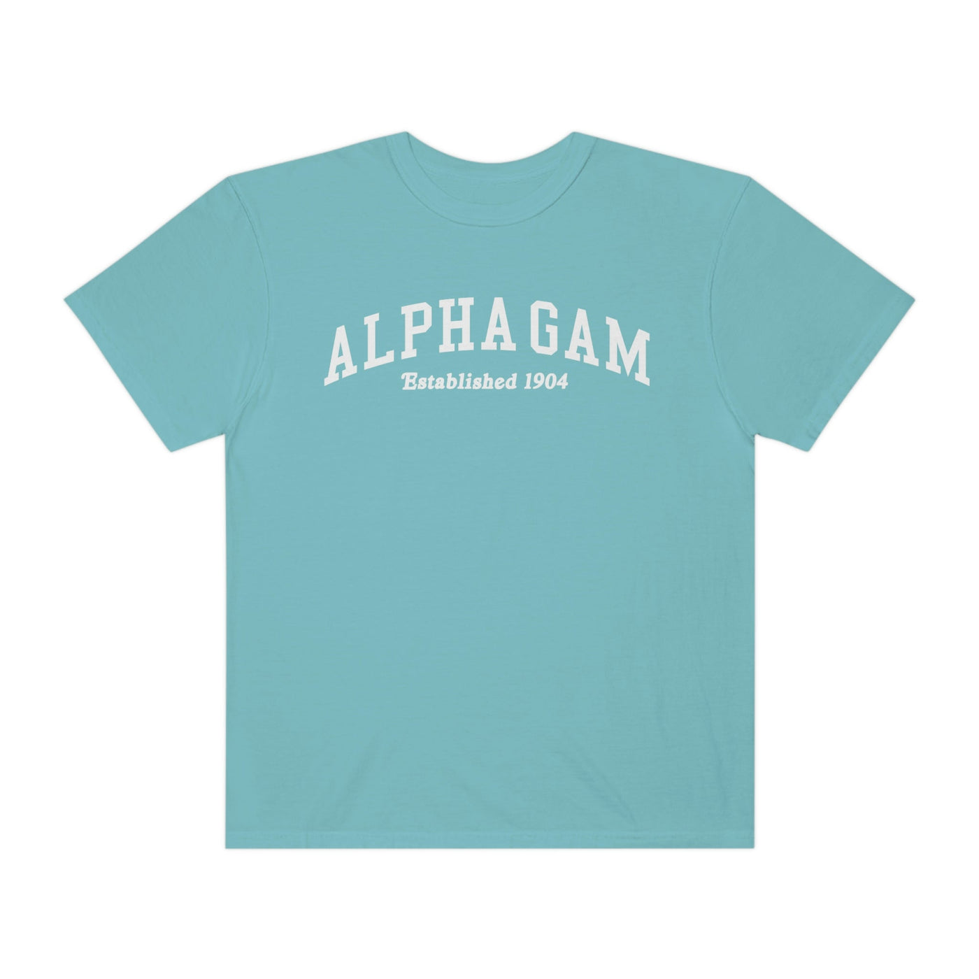 Alpha Gamma Delta Varsity College Sorority Comfy T-Shirt