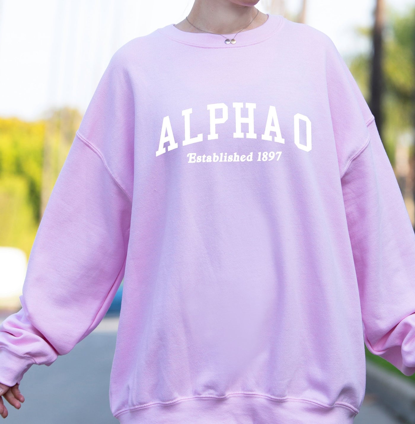 Alpha Omicron Pi Sorority Varsity College Alpha O Crewneck Sweatshirt