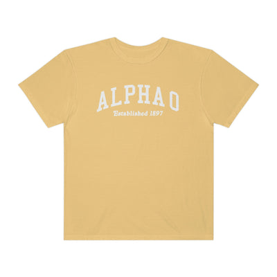 Alpha Omicron Pi Varsity College Sorority Comfy T-Shirt