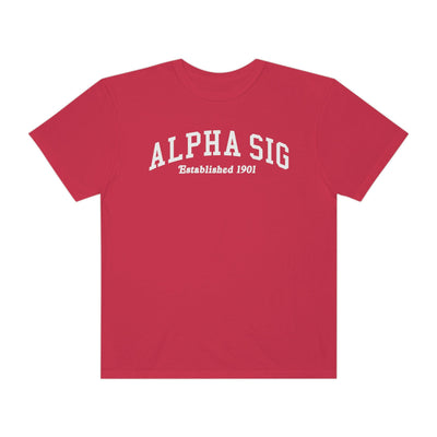 Alpha Sigma Alpha Varsity College Sorority Comfy T-Shirt