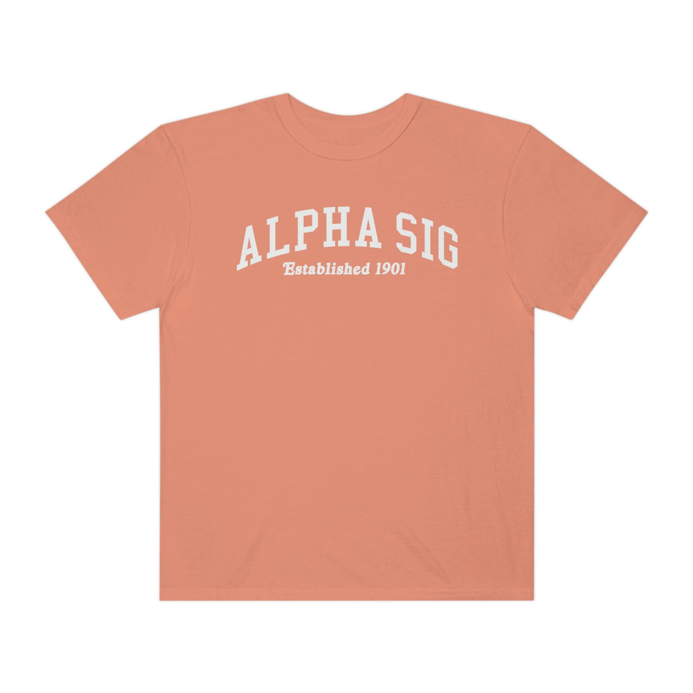 Alpha Sigma Alpha Varsity College Sorority Comfy T-Shirt