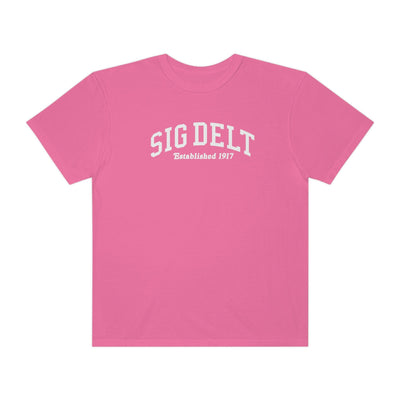 Sigma Delta Tau Varsity College Sorority Comfy T-Shirt